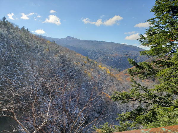 View over Kaaterskill Clove from the escarpment at Kaaterskill Falls, Haines Falls, NY