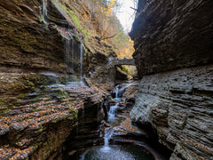 Watkins Glen Gorge Trail