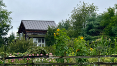 Thyme In The Country Cottages