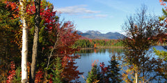 Mount Marcy via the Van Hoevenberg Trail